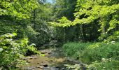 Tocht Stappen La Roche-en-Ardenne - rando warempage 13/07/2020 - Photo 6