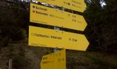 Excursión A pie Fischbachau - Wanderweg 670b - Leitzachtaler Bergblicke (Prämienwanderweg) - Photo 7
