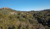 Tour Wandern Sernhac - Serhnac tunnels crêtes  - Photo 14