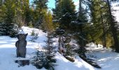 Trail Touring skiing Ormont-Dessous - les mosses/pra croset - Photo 2