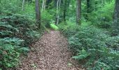 Trail Walking Arlon - 33.419 Arlon - Circuit Eischen - Bois du Moulin - Photo 6