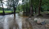 Randonnée Marche Jalhay - sart . croupets du moulin . royonpré . retour via l autre rive  - Photo 6