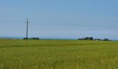 Tocht Stappen Vattetot-sur-Mer - vattetot - yport - Photo 4