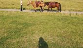 Trail Horseback riding Métairies-Saint-Quirin - point de vue abreschviller  - Photo 1