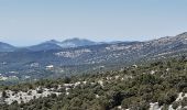 Tocht Stappen Bédoin - La Combe de Curnier - Photo 2