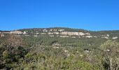 Excursión Senderismo La Farlède - Petit Coudon en partant de La Farlède - Photo 15