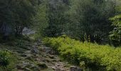 Trail Walking Lans-en-Vercors - les allieres, COL de l arc, et pic ST Michel - Photo 15