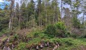 Randonnée Marche Septmoncel les Molunes - mo sentier des lapidaires - Photo 17