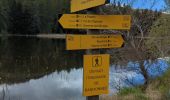 Tocht Stappen Bayons - chemin du lac des Monges au sommet - Photo 13