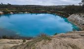 Trail Walking Guizengeard - LACS BLEUS GUIZENGEARD depuis le Parking de la Mairie - Photo 6