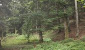 Tocht Stappen Orcines - Montée au Puy de Dôme et temple de Mercure  - Photo 19