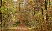 Tour Zu Fuß Renningen - Mühle - Kammerforst - Photo 6