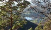 Tocht Stappen La Chapelle-du-Mont-du-Chat - MONT DU CHAT: LES BELVEDERES - Photo 13