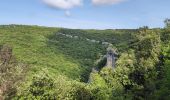 Trail Walking Lussan - concluses départ lussan - Photo 6