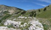 Excursión Senderismo Châtillon-en-Diois - Les Cabanes de Châtillon (Glandasse) - Photo 15