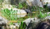 Excursión Senderismo Ollioules - SityTrail - 1041295 - le-destel-grotte-des-joncs - Photo 11