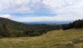 Randonnée Marche Geishouse - Ferme Haag - Lac Blallon - Le Grand Ballon - Photo 1