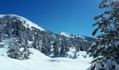 Randonnée Raquettes à neige Corrençon-en-Vercors - Cabane de la Goupette en circuit au départ de Corrençon-en-Vercors - Photo 3