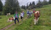 Trail Walking Soultzeren - Lac de Forlet Hohrodberg  - Photo 4