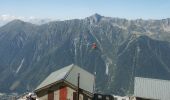 Trail Walking Chamonix-Mont-Blanc - La Gare des Glaciers - Plan de l'Aiguille - Photo 15