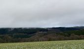 Tocht Stappen La Roche-en-Ardenne - Chèque - Photo 5