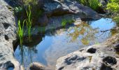 Randonnée Marche Le Cannet-des-Maures - Boucle autour du Lac des Escarcets - Photo 19