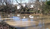 Tocht Stappen Yerres - forêt de senart - Photo 1