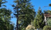 Tocht Stappen Jourgnac - puy de banneix  - Photo 4