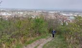 Trail Walking Clermont-Ferrand - PUY DE CHANTURGUE - Photo 11