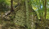 Excursión A pie Gomadingen - Zugangsweg Ringingen - Burladingen - Hauptstraße Gauselfingen - Photo 1