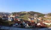 Tour Zu Fuß Gemeinde Zöbern - Zöbern - Hotel Czerwenka - Photo 6