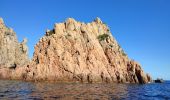 Tocht Motorboot Ota - Calanques par la mer Scandola Girolata - Photo 18