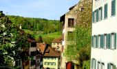 Percorso A piedi Oberweningen - Kaiserstuhl Bahnhof - Oberweningen-Schöfflisdorf - Photo 1