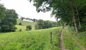 Randonnée Marche Trois-Ponts - autour de Wannes et Henimont - Photo 3