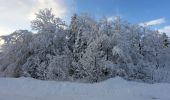 Tour Schneeschuhwandern Saint-François-de-Sales - Les-Creusates-2021-01-04 - Photo 6