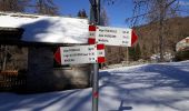 Trail On foot Masera - A10 - Masera - Cima la Sella - Photo 1