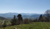 Tour Mountainbike Urbach bei Kaysersberg - Fréland - Col du Wettstein - Photo 6