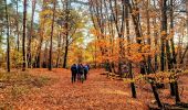 Excursión Senderismo Fontainebleau - Boucle Fontainebleau 19 km au départ de la Croix de Toulouse - Photo 12