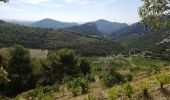 Trail Walking Gigondas - gigondas - Photo 4