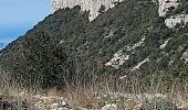 Randonnée Marche Plan-d'Aups-Sainte-Baume - Dent de la Roque Forcade après reco  - Photo 11