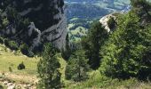 Tocht Stappen Entremont-le-Vieux - Le Granier - Photo 10