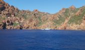 Tocht Motorboot Piana - Grand tour Scandola Piana Girolata - Photo 1