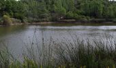 Trail Walking Roquebrune-sur-Argens - les 25 ponts -Roquebrune sur Argens-25-09-20 - Photo 7