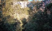 Trail Walking Seillons-Source-d'Argens - Rocher des abeilles-02-02-2022 - Photo 4