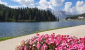 Tocht Stappen Auronzo di Cadore - DOLOMITES 07 - Lavaredo - Mirusina - Photo 1