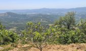 Randonnée Marche La Garde-Freinet - la Garde-Freinet- notre dame de miremer - Photo 2