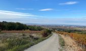 Percorso Mountainbike La Baume-de-Transit - Gravel - La Baume / Gigondas - Photo 1