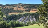 Excursión Senderismo Théus - Les demoiselles coiffées  - Photo 4