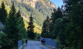 Trail Walking Pralognan-la-Vanoise - Les Hauts de la Vanoise Pont Gerlon  - Photo 3