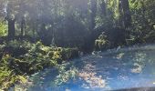 Trail Walking Sainte-Anastasie-sur-Issole - Saint Quinis - Ste Anastasie - Photo 15